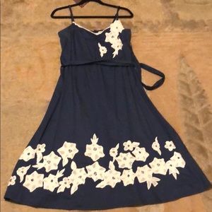 Beautiful Anthropology dress